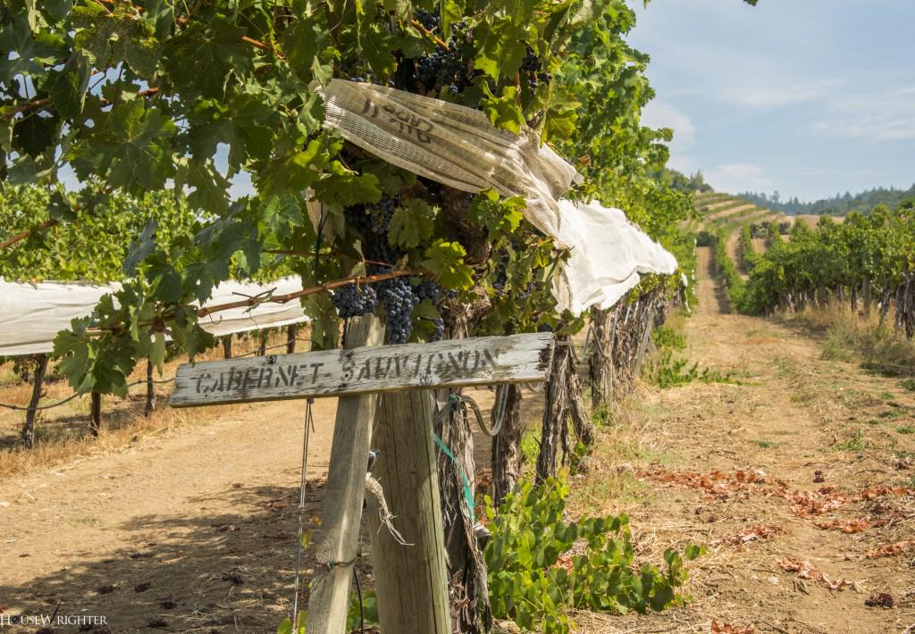 Blue Rock Harvest 2015 – Coming Soon! bluerockvineyard.com/wordpress/blue…