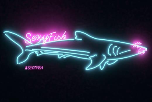 trevorburke's tweet image. It&apos;s coming (with our longest, most stylish @exclusiveranges #menusystem cooker EVER). #sexyfish