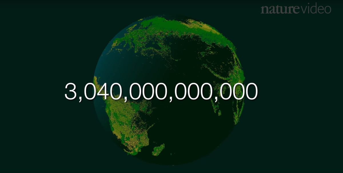 kellybkrause's tweet photo. story behind stunning #dataviz by @JanWillemTulp density map of 3 trillion trees http://t.co/YTWuYzwHW3 @NatureNews http://t.co/xSAfD1S1CO