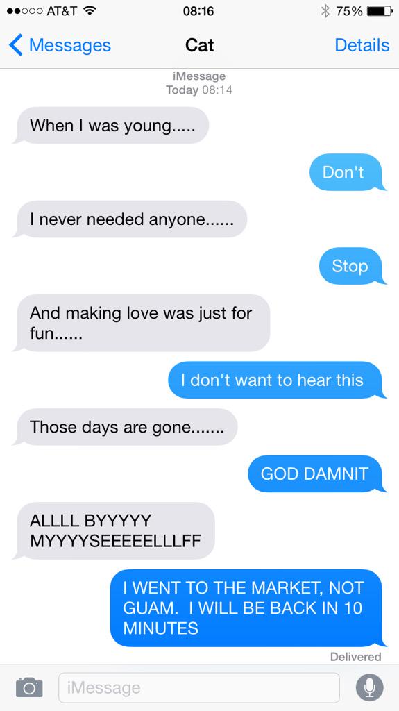 textfromcat tweet picture