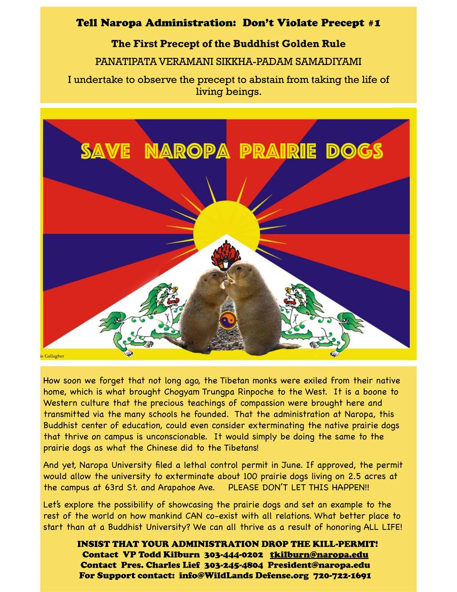 <a href="/WLDefense/">WildLands Defense</a> NAROPA UNIVERSITY: DON'T VIOLATE FIRST BUDDHIST PRECEPT!
WITHDRAW THE KILL PERMIT NOW!