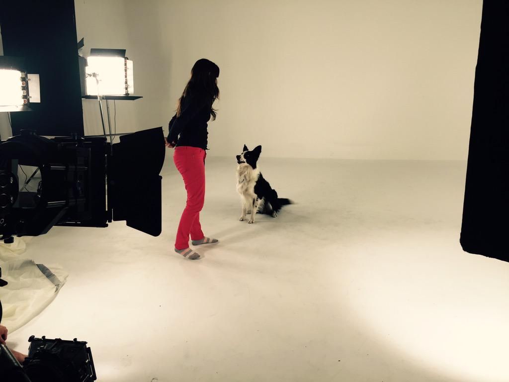 HOY colaborando con un lindo #refugio por los perritos. KOBU junto a <a href="/memefunes/">Mercedes Funes Actriz</a> y otras hermosas personas. Soon 🎬🔛😀