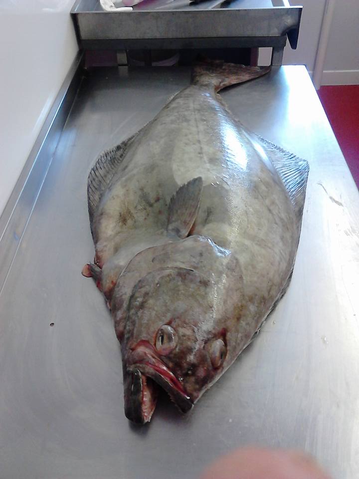 GarethFail's tweet image. Love my job ,sometimes :)