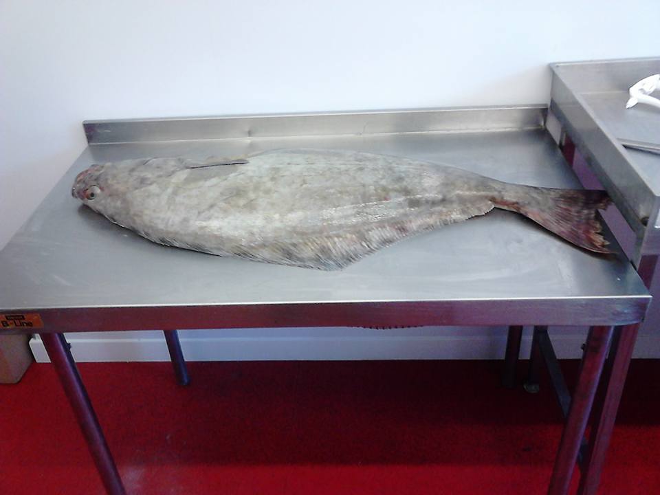 GarethFail's tweet image. Love my job ,sometimes :)