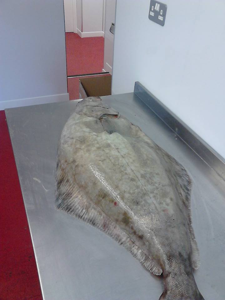 GarethFail's tweet image. Love my job ,sometimes :)