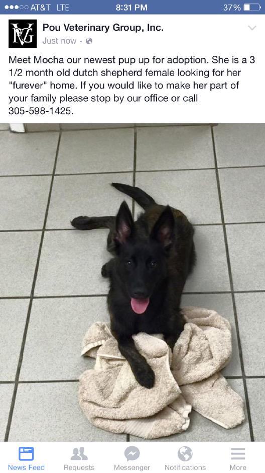 PouVetGroup's tweet image. 