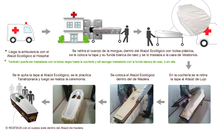 EcoExequial's tweet photo. #TeLoDigoEn3Palabras Seguro Sepelio Ecológico http://t.co/jjZXuDVqho @VictoriaSeguros @pseguros @GSBrokers #RT http://t.co/G8fZmXsrDc