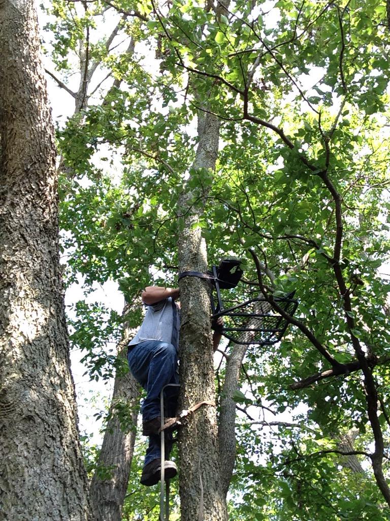 HavocOutdoor's tweet photo. Getting tree stands up. http://t.co/WdooOaSeM9