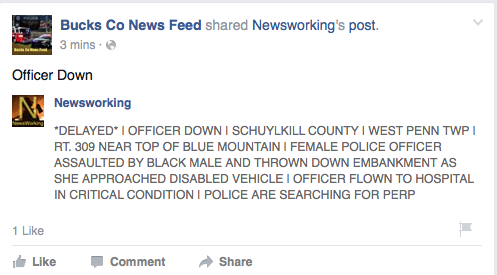 Cindi Z (@cinsar) on Twitter photo 