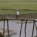 RT @wbclimatechange: #Health impacts of #climate variability projected to be significant by 2050. What can we do? http://t.co/iYOmand5X9 ht…