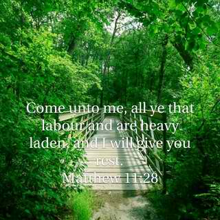 shiepapio's tweet image. YOU CAN DO IT BCOZ GOD WILL HELP YOU DO IT #recovery #CODEPS #valuesFormation #askHELPnow
bible.com/1/mat.11.28.KJV