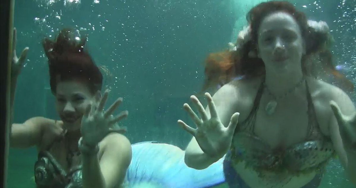 HFXMermaid's tweet image. thank you @Leth_Herald for featuring #halifax #mermaids tinyurl.com/oo6nosg