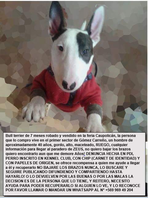 Verónica Rojas Orellana tweet media