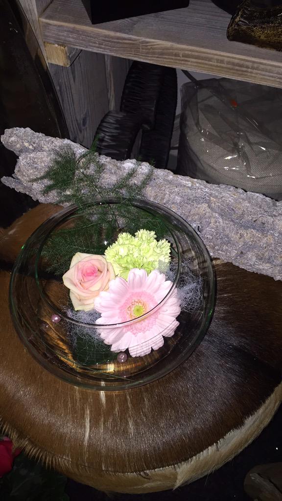 Aanbieding vandaag €6,95