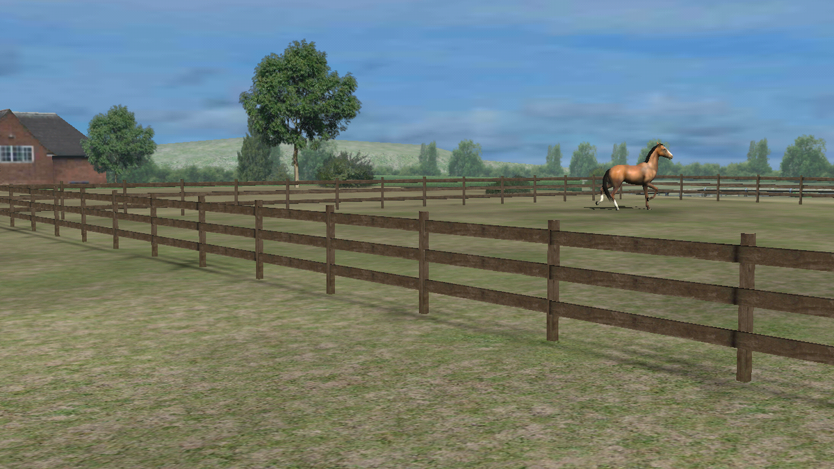 jenifercabanill's tweet photo. Mira mi foto! Add me, cabanilla. #MyHorse http://t.co/tOxEf78GI7