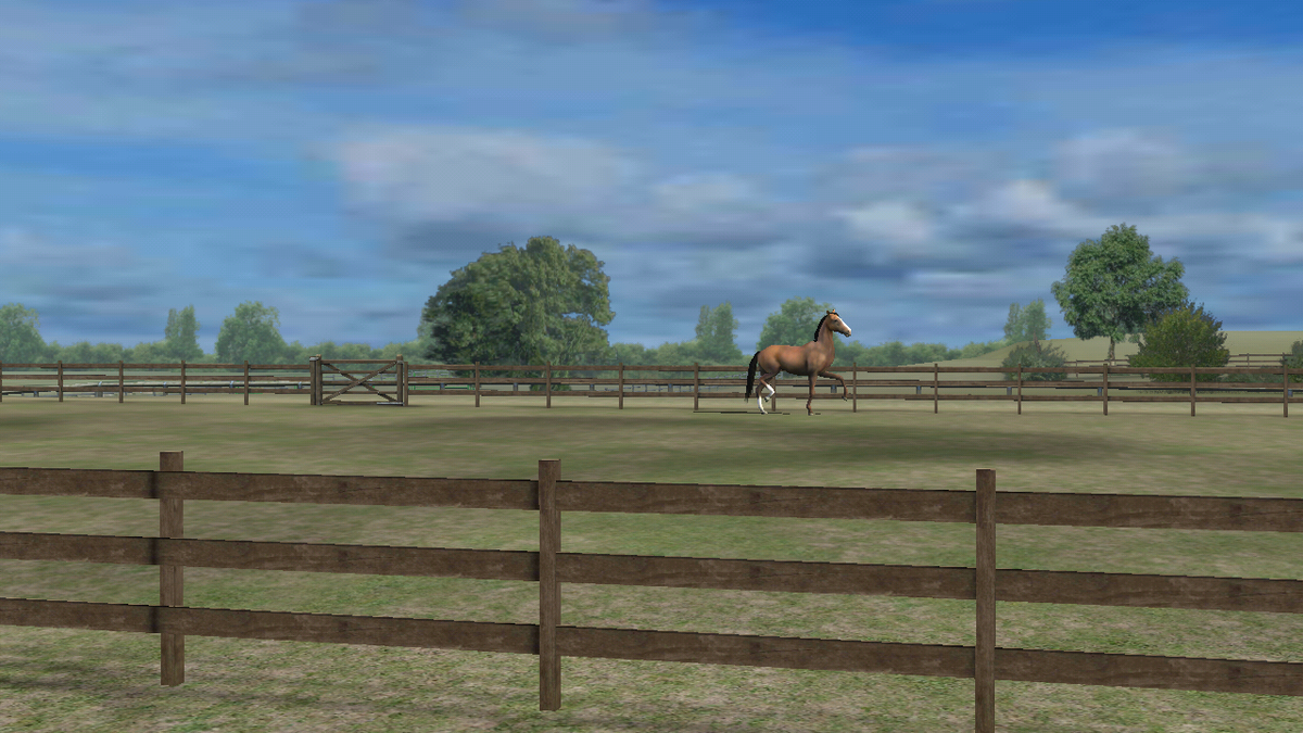 jenifercabanill's tweet photo. Mira mi foto! Add me, cabanilla. #MyHorse http://t.co/BgUC2LPieB