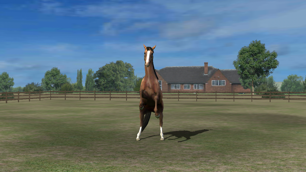 jenifercabanill's tweet photo. Mira mi foto! Add me, cabanilla. #MyHorse http://t.co/mxotgPQIrh