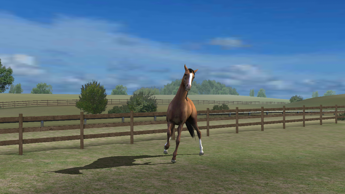 jenifercabanill's tweet photo. Mira mi foto! Add me, cabanilla. #MyHorse http://t.co/Y2YbyWosbd