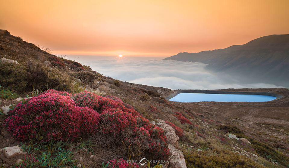 mtv (@rt1_ff) on Twitter photo 