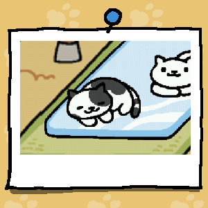 kapiyo's tweet photo. #ねこあつめ http://t.co/TpnYL8yg3O