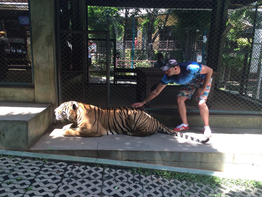 u_slice's tweet image. Casually stroking a lion 😏