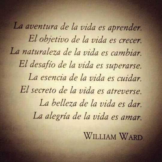 תוצאת תמונה עבור belleza de la vida
