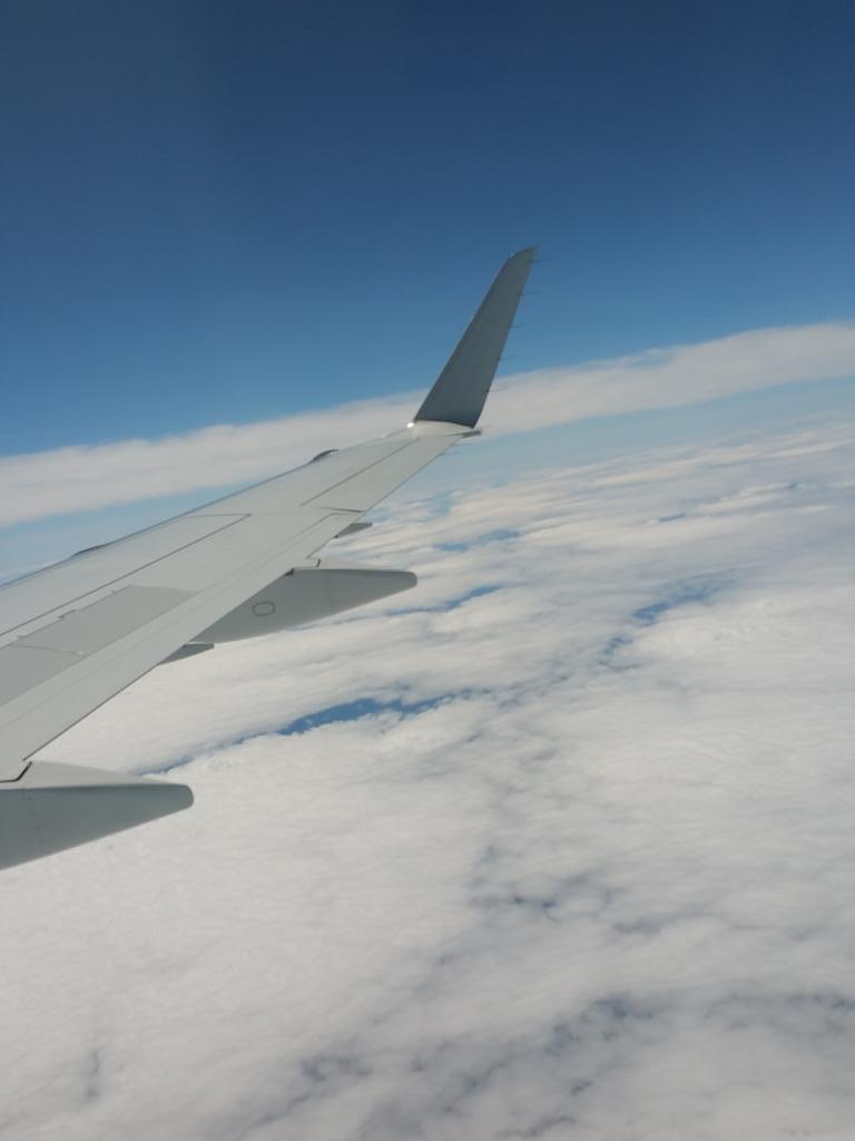 iMathBet's tweet image. IN PLAY BET

MATCH: Hamburg v Stuttgart 
Market: BTTS, YES!

Tipping from the Air, future of betting

#MathBet #NYC