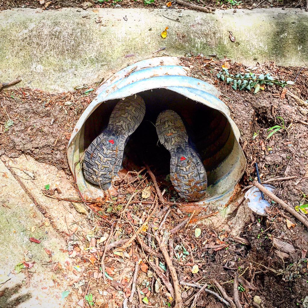 EricMcCabe11674's tweet image. Shot a great 2nd round, despite have to crawl in a pipe to retrieve my @DynamicDiscs Truth! #LedgestoneOpen @PDGA 50