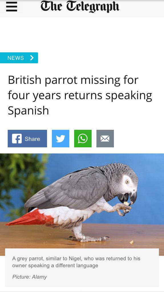 FlashAcademy_HQ's tweet photo. 🇪🇸 #languagelearninggoals 🇪🇸 http://t.co/3MFPPyBi7G