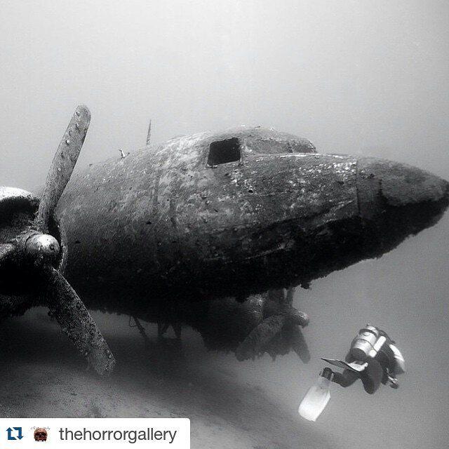 actiontravel_'s tweet image. #deepexploration #scubadiving #diver#aircraft#sunkenaircraft#haunted#haunting #submerged#a… ift.tt/1SDM8Ec