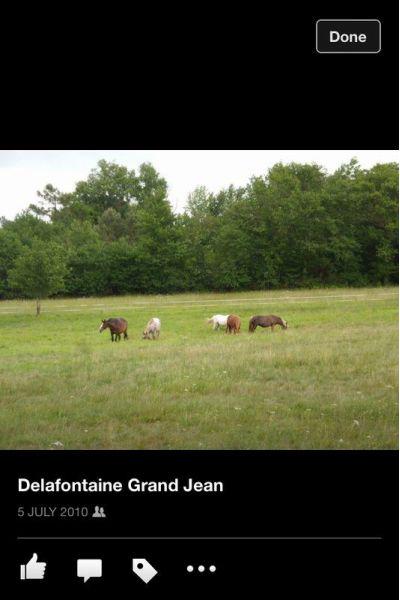 JankoStastny's tweet image. 17270 #Cercoux #Vila/Luxury home - For Sale globimmo.net/en/for-sale/vi…