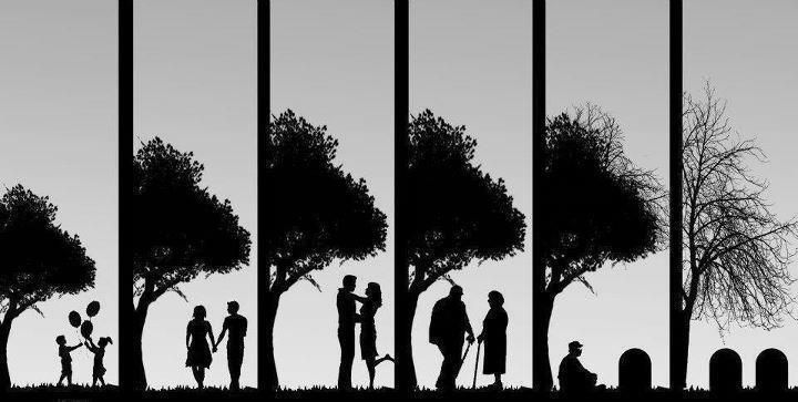 ResimeBak's tweet photo. Hayatın Gerçegi, ve kaçınılmaz son. http://t.co/wxT8ZtEhFl