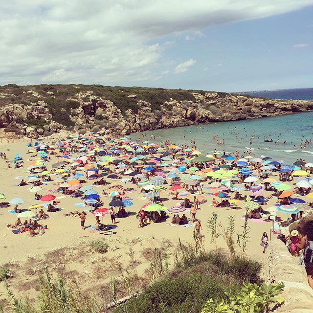 Calamosche Hashtag A Twitteren