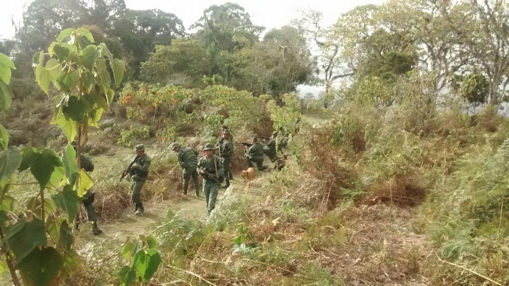 Frontera - problema migratorio en Venezuela - Página 15 CNBLxhLWcAQx1y1