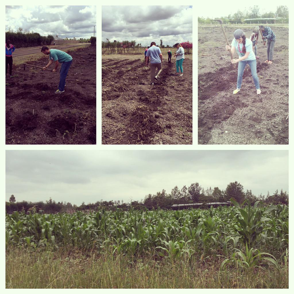 BeFreeRev's tweet photo. In April our team planted maize at Pehucci Children's Home! Pretty excited to see the fruit of that labor in June! http://t.co/JkNmYCZ78C