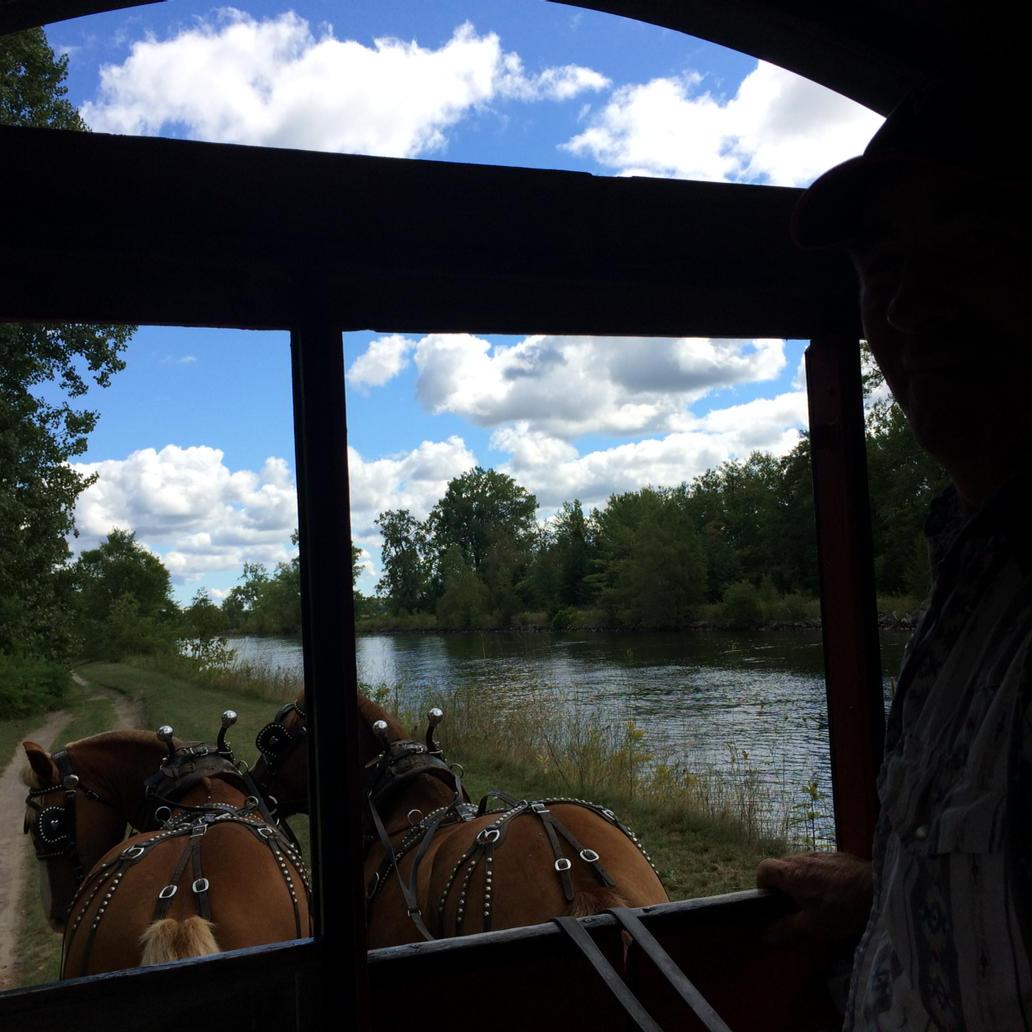 timberhouse's tweet photo. Time Travel! Blane Way giving horse and wagon rides at The QuinteHheritage Festival http://t.co/1k23GizyyZ