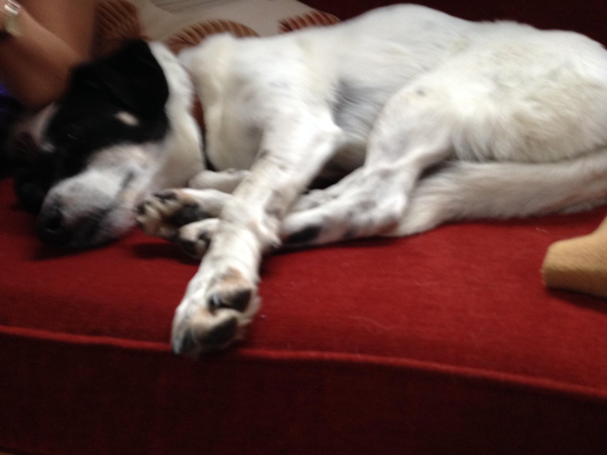 ruby forrest tweet media