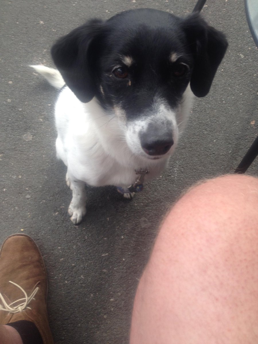 ruby forrest tweet media