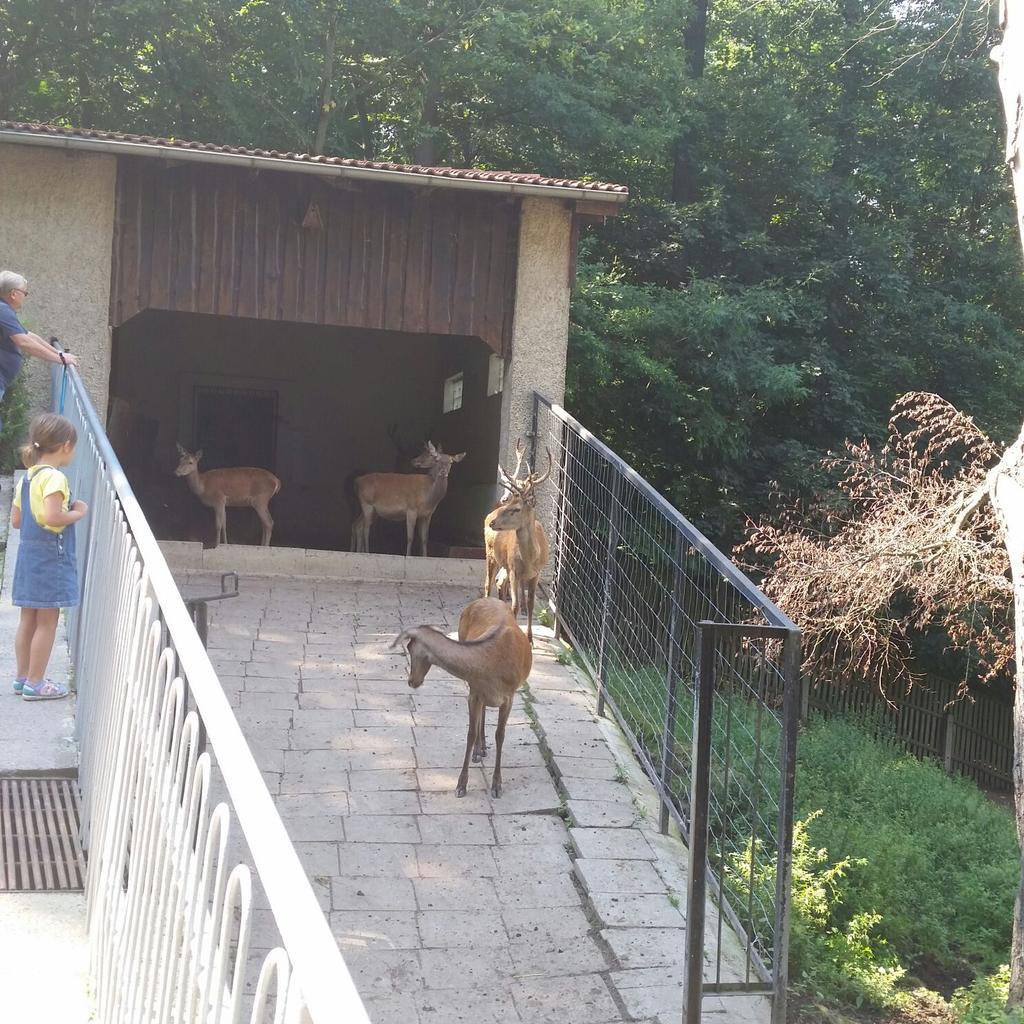 BeateUhlemann's tweet photo. I was with my girlfriend at the Tierpark Hirschfeld http://t.co/nfnQ9FBTxC