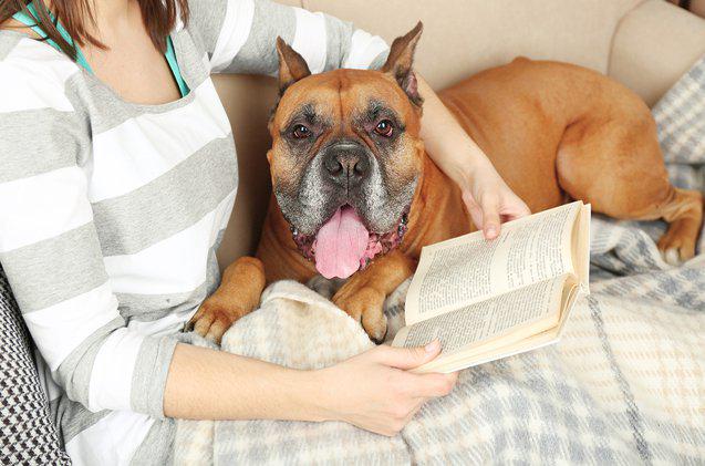 PetGuideTweets's tweet photo. 5 Barkworthy Books Every Pet Parent Should Read http://t.co/JoHDuczZhd http://t.co/5z9T9ogDqX