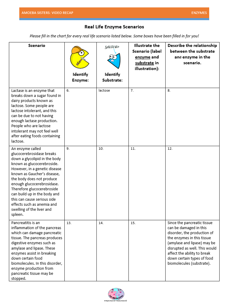 Amoeba Sisters Video Recap Biomolecules Chart