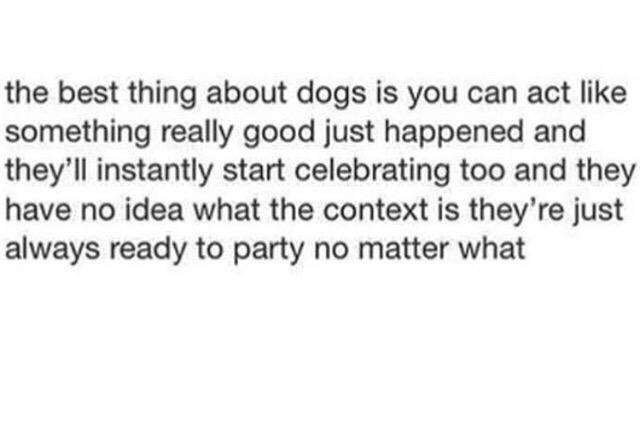 mthennessy82's tweet photo. Replace the word Dogs with #Blaggs!
@Blaggzy @Kenboi09 @noraa1313 @Jose_pereira7 @ClaireStids
#NoBlaggzyNoParty http://t.co/W3KgnxVCFv