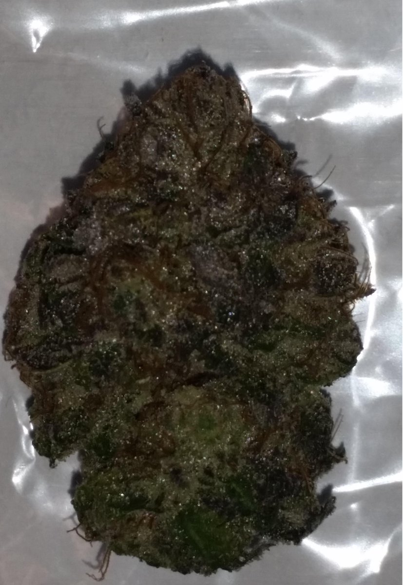 GreenCulture810's tweet photo. HOME OF THE ORIGINAL GIRL SCOUT COOKIES #gsc #mmmp #divine #420 #HTCC2015 http://t.co/bnDmOEYRB9