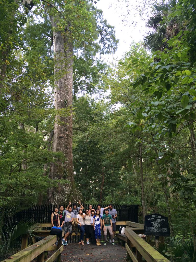 AVID_All_Star's tweet image. Great day for an class field trip! #BigTreePark #FleaWorld #FullSail