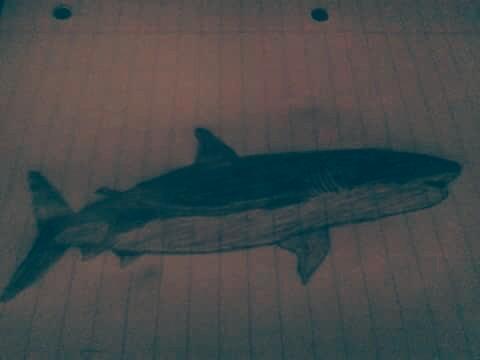 rovens_pascal's tweet image. 