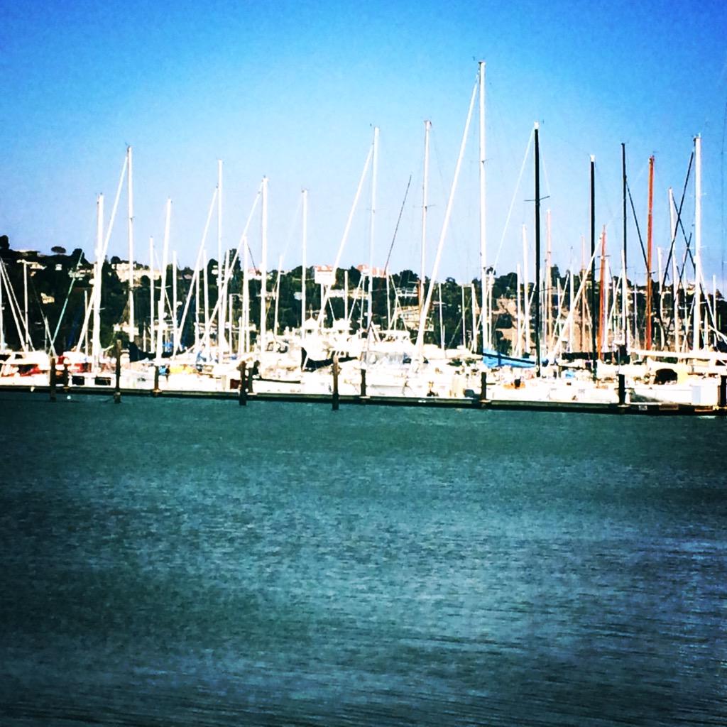 havesuitcase's tweet photo. #becomeatourguidebecause this is my view at lunch #sausalito @ITMI @havesuitcase #Justanotherdayintheoffice http://t.co/6Os9r1lHdF