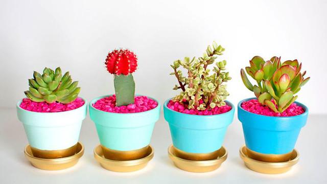 RantChic's tweet photo. 15 Pinterest DIY Projects That Won’t Become A Disaster
http://t.co/Xc4H7x1457 #DIYTuTu #DIYProjects #DIYMasonJars http://t.co/riJtoIH533