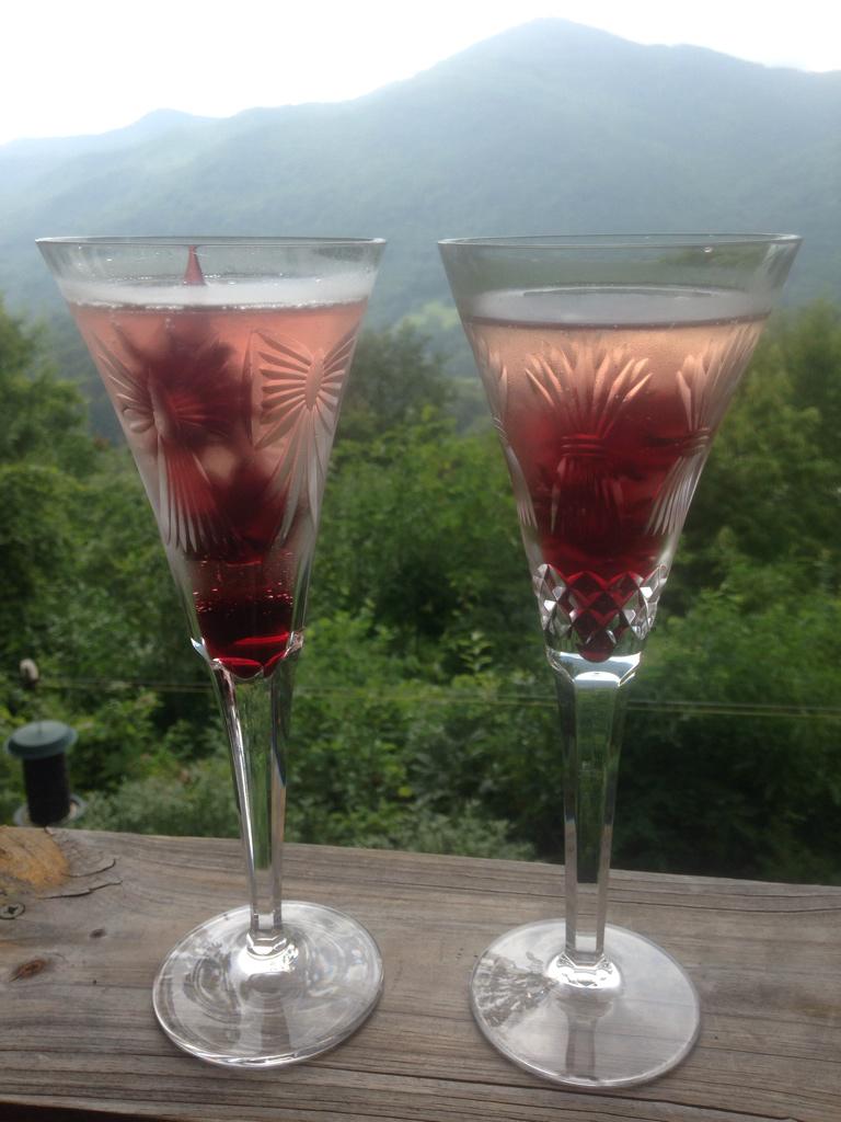 🍸A toast to the #WNC mountains! #cocktails #828isgreat #mountainlife