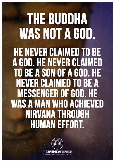 LOOK WHAT HAPPENS WHEN U DONT GIVE A FUCC http://t.co/6jRgQwSdxb<a href="/tag/tarantulahawk"class="tags"><span>#tarantulahawk</span></a>