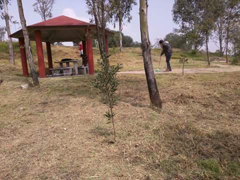 SergioReyesRs's tweet photo. Apoyando a Líderes y Amigos de Col. La Quebrada en poda dentro del parque el Colibrí #VinSo Por un Bien en Comun... http://t.co/N2Z4jgGw5o